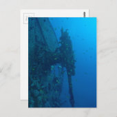 Carte Postale Épave (Devant / Derrière)