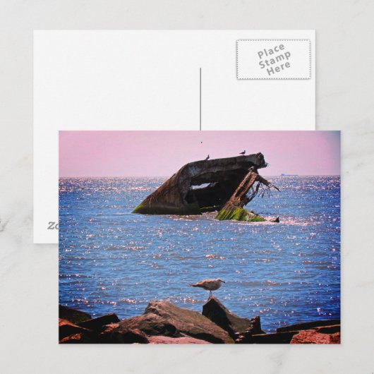 Carte Postale Épave du cap May (Devant / Derrière)