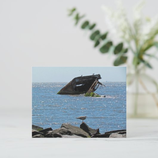 Carte Postale Épave du cap May (Debout devant)