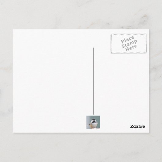 Carte Postale Épervier (Dos)