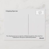 Carte Postale Épervier de croupe (A) (Dos)