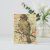 Carte Postale Épervier vintage (Debout devant)