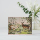 Carte Postale Ephémère de cerf vintage Découpage Art (Debout devant)