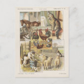 Carte Postale Éphémère de la collection d'animaux de ferme (Devant)