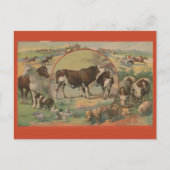 Carte Postale Éphémère de la piste de course des animaux de ferm (Devant)