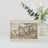 Carte Postale Éphémère publicitaire des animaux de ferme (Debout devant)