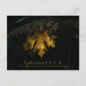 Carte Postale Éphésiens (Devant)