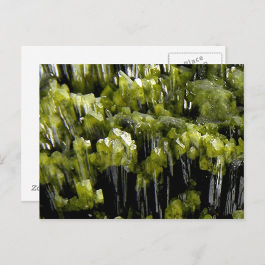 Carte Postale Epidote (Devant / Derrière)
