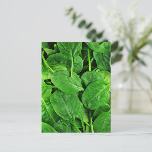 Carte Postale Épinard (Debout devant)