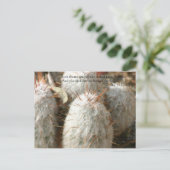 Carte Postale Épines (Debout devant)