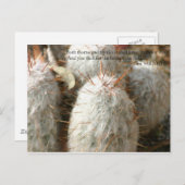 Carte Postale Épines (Devant / Derrière)