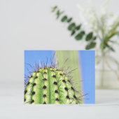 Carte Postale Épines de cactus verts (Debout devant)