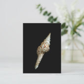 Carte Postale Epingle (Debout devant)