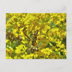 Carte Postale Épingle de papier sur les articles de Goldenrod