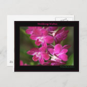 Carte Postale Épouser un (Devant / Derrière)