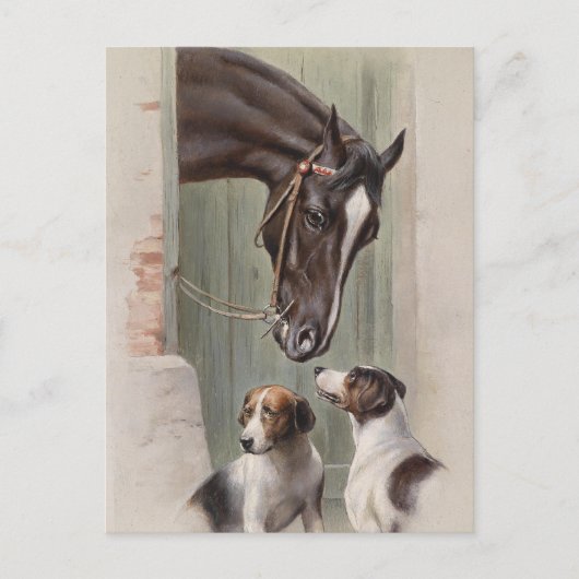 Carte Postale Épouses (Devant)