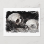 Carte Postale Épouses crâniennes (Devant)