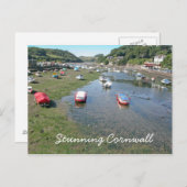 carte postale époustouflante de Cornouailles (Devant / Derrière)