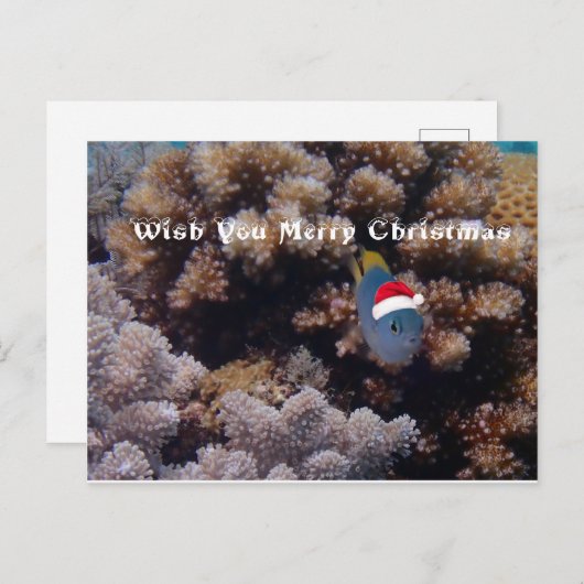 Carte Postale Épouvantable (Devant / Derrière)