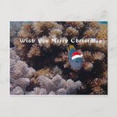 Carte Postale Épouvantable (Devant)