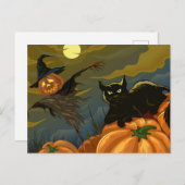 Carte Postale Épouvantail de chat noir et citrouille (Devant / Derrière)