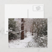 Carte Postale Epping Forest dans la neige. (Devant / Derrière)