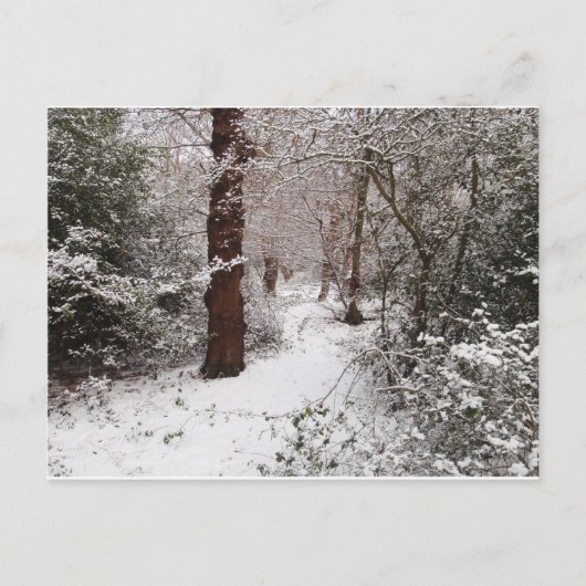 Carte Postale Epping Forest dans la neige. (Devant)