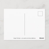 Carte Postale Équateur (Dos)