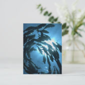 Carte Postale Équateur, archipel des Galapagos, île Wolf, (Debout devant)