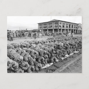 Carte Postale Equateur Peurto Bolivar