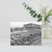 Carte Postale Equateur Peurto Bolivar (Debout devant)