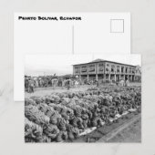 Carte Postale Equateur Peurto Bolivar (Devant / Derrière)