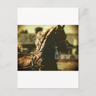 Carte Postale équestre | Puissance pure