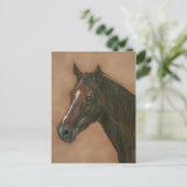 Carte Postale équine de marron de châtaignier (Debout devant)