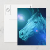 Carte postale Equine Designs (Devant / Derrière)