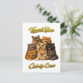 Carte Postale Équipage de l'herbe à chat Mignons Visages de Chat (Debout devant)