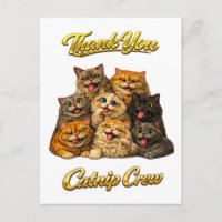 Équipage de l'herbe à chat Mignons Visages de Chat