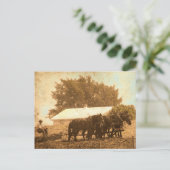 Carte Postale Équipe d'Amish (Debout devant)