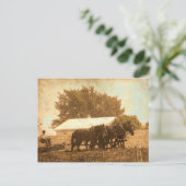 Carte Postale Équipe d'Amish (Debout devant)