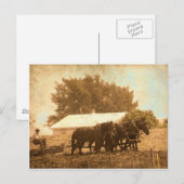 Carte Postale Équipe d'Amish (Devant / Derrière)