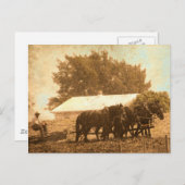 Carte Postale Équipe d'Amish (Devant / Derrière)