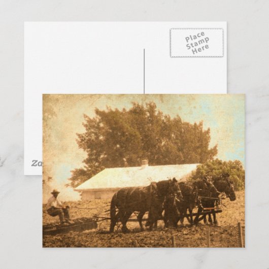 Carte Postale Équipe d'Amish (Devant / Derrière)