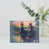 Carte Postale Équipe d'Amish Horse (Debout devant)