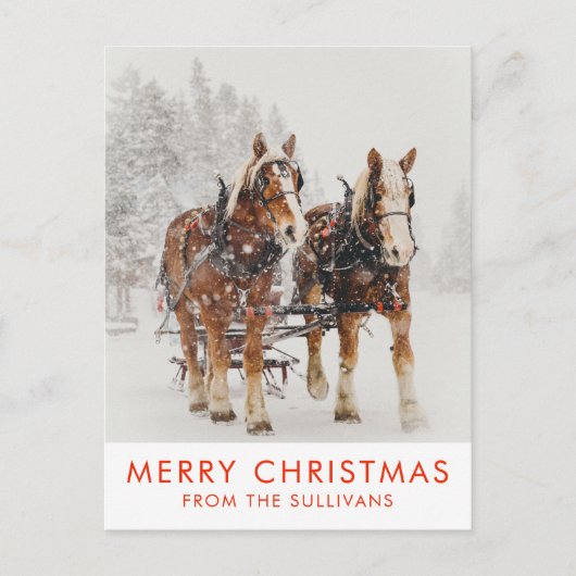 Carte Postale Équipe de Belgique de cheval Wintery Christmas Sce (Devant)