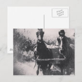 Carte Postale Équipe de chevaux #cheval #amish (Devant / Derrière)