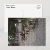 Carte Postale Équipe de chien de traîneau dans Denali, Alaska (Devant / Derrière)