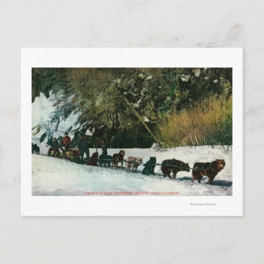 Carte Postale Équipe de chiens du Yukon - Transport de marchandi (Devant)