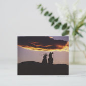 Carte Postale Équipe de Cowboy avec Lassos (Debout devant)