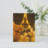 Carte Postale Équipe de selfie de chat de nuit de Paris amoureus (Debout devant)