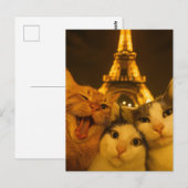 Carte Postale Équipe de selfie de chat de nuit de Paris amoureus (Devant / Derrière)